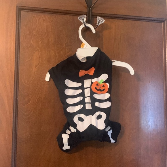 Adorable Wag & Bone pet Halloween skeleton costume for cats or small dogs  😍😍 - Picture 1 of 7